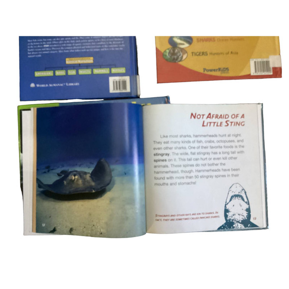 SHarks and Fish Set of 4 Informative Books with Pictures Hardcovers - Picture 4 of 6